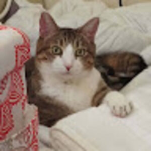 Meet your Posher, Kathryn